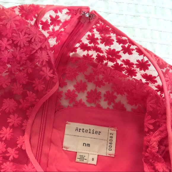 Anthropologie NM Artelier embroidered mesh dress🍉 - Picture 7 of 10
